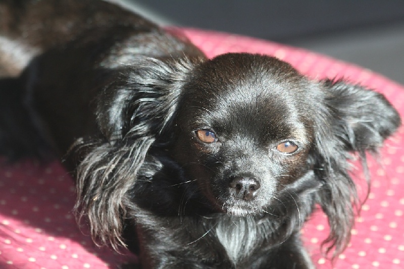 Fashion du Domaine des Marineros