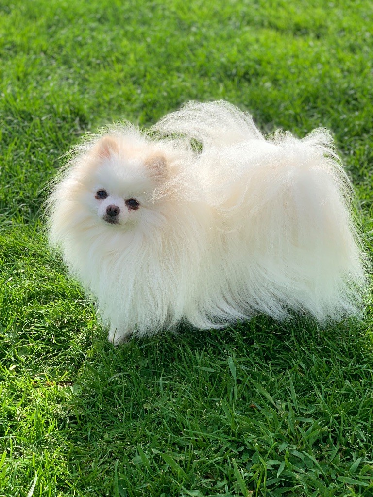 Snow du Domaine des Marineros