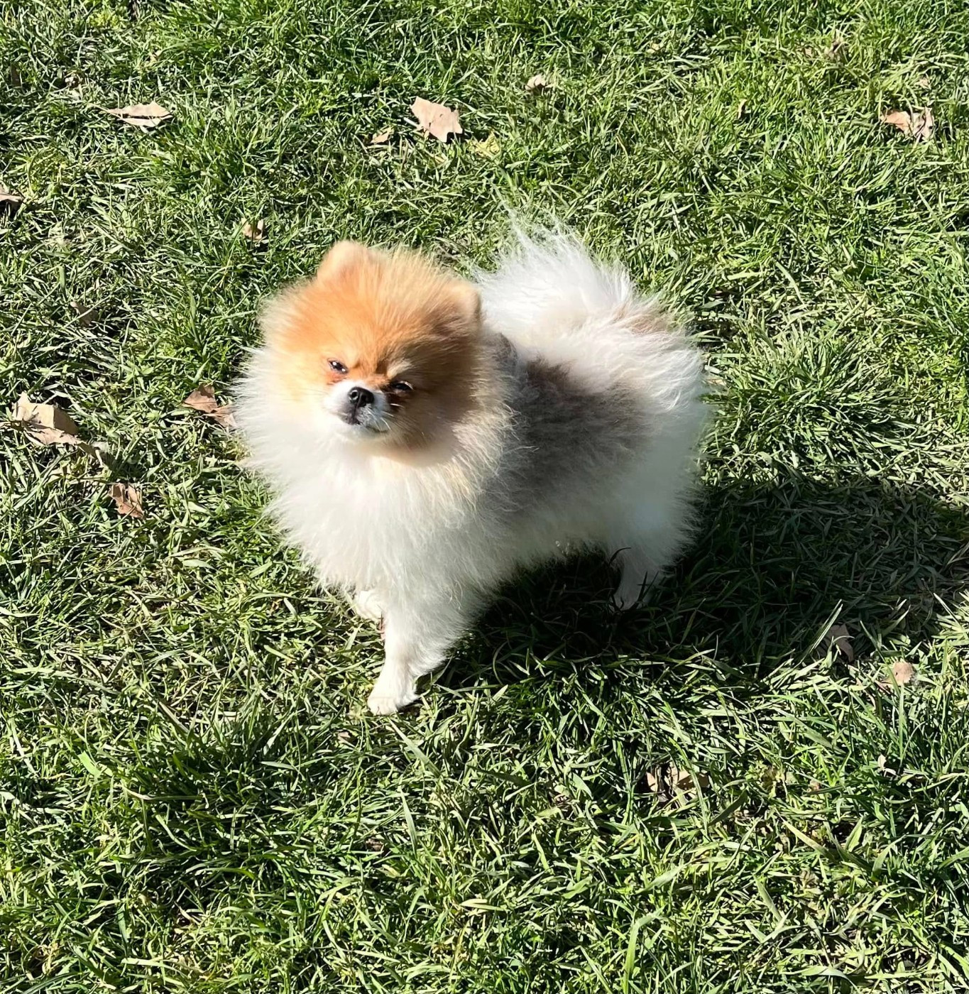 du Domaine des Marineros - Alinénor recherche une famille