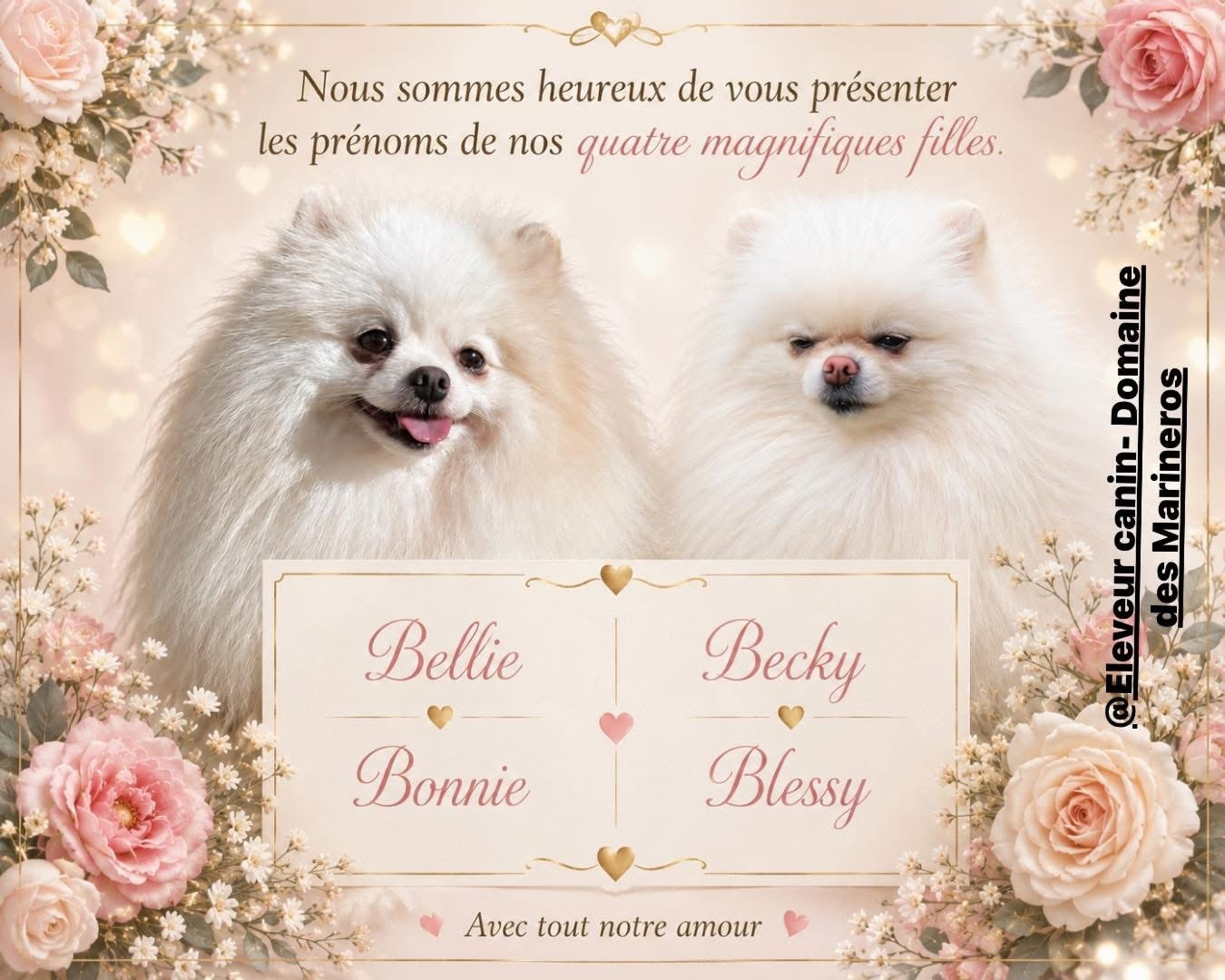 Elles sont nées !