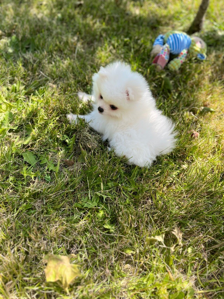 Dernier bébé à réserver. 