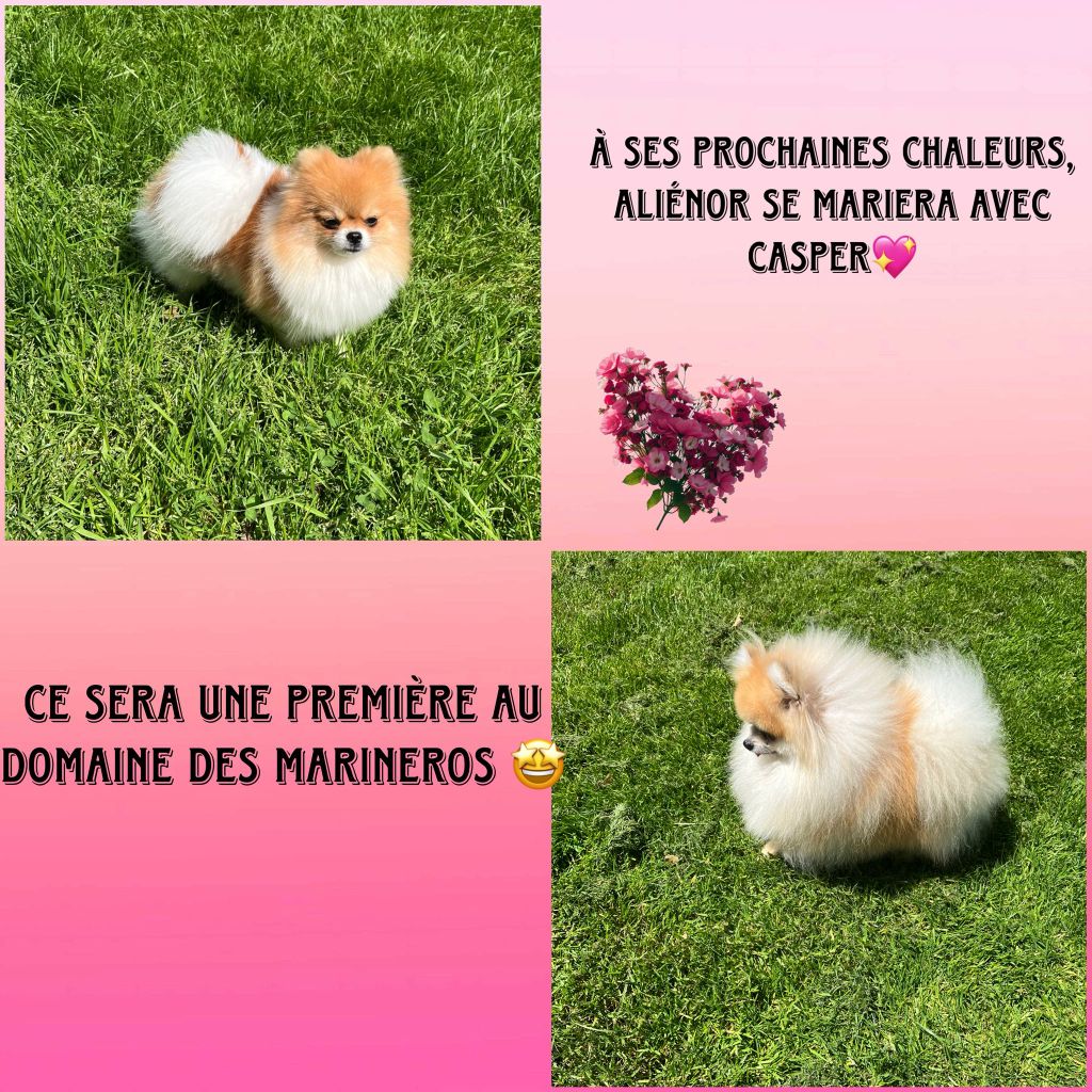 Une surprise..